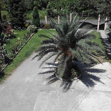 Guest House Vitali Gonio Luaran gambar